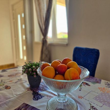 Apartments Josi - Parking And Barbecue Grebaštica Εξωτερικό φωτογραφία