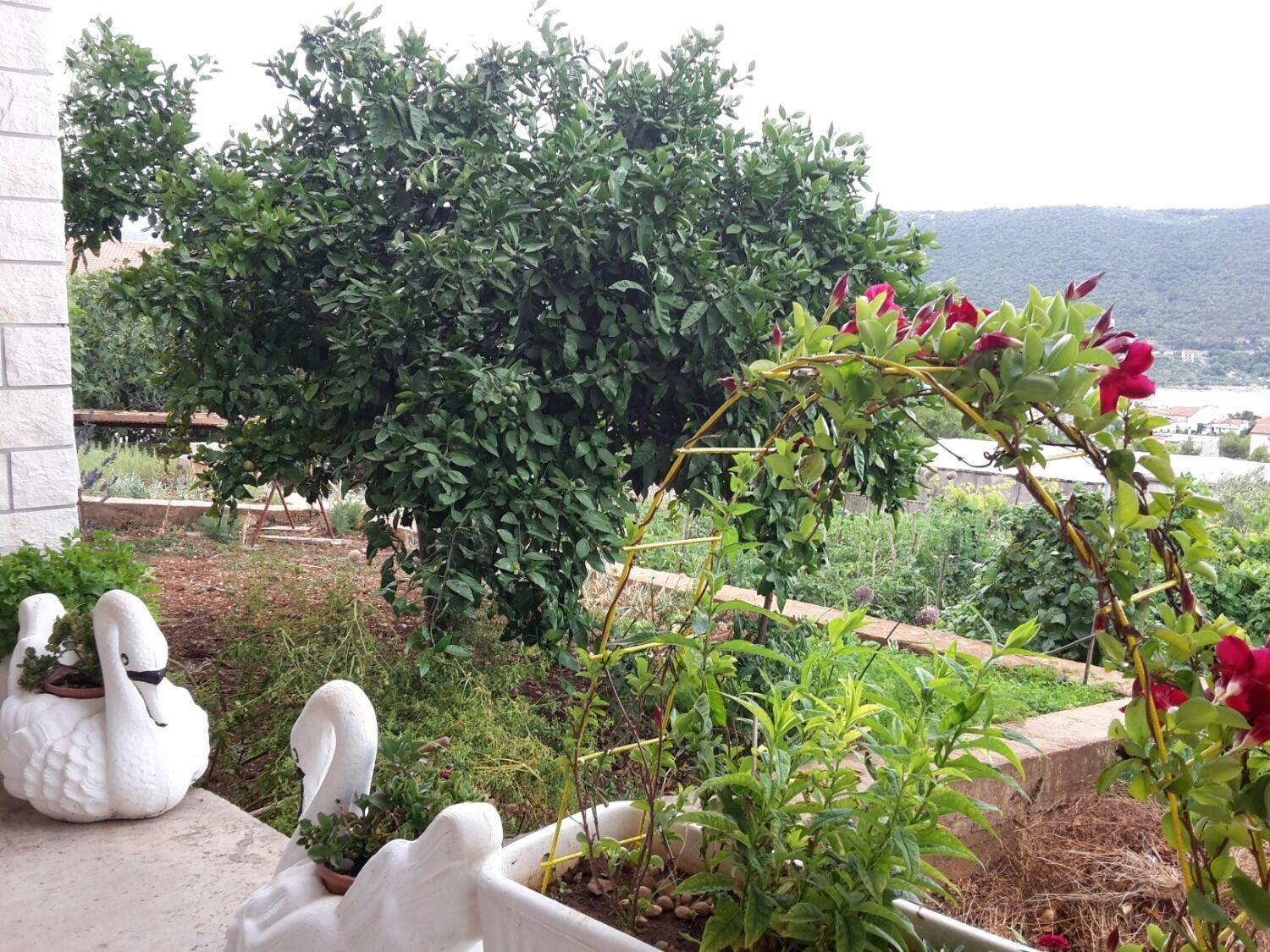 Apartments Josi - Parking And Barbecue Grebaštica Εξωτερικό φωτογραφία
